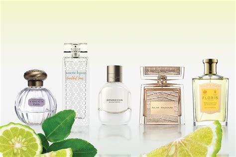 what scent is bergamot